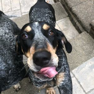 Meet your Posher, Joseph